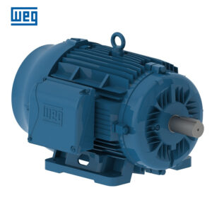 MOTORES TRIFÁSICOS IP55, W22, IE2, 6 POLOS, 220/380/440 V, 1200 RPM, B3D